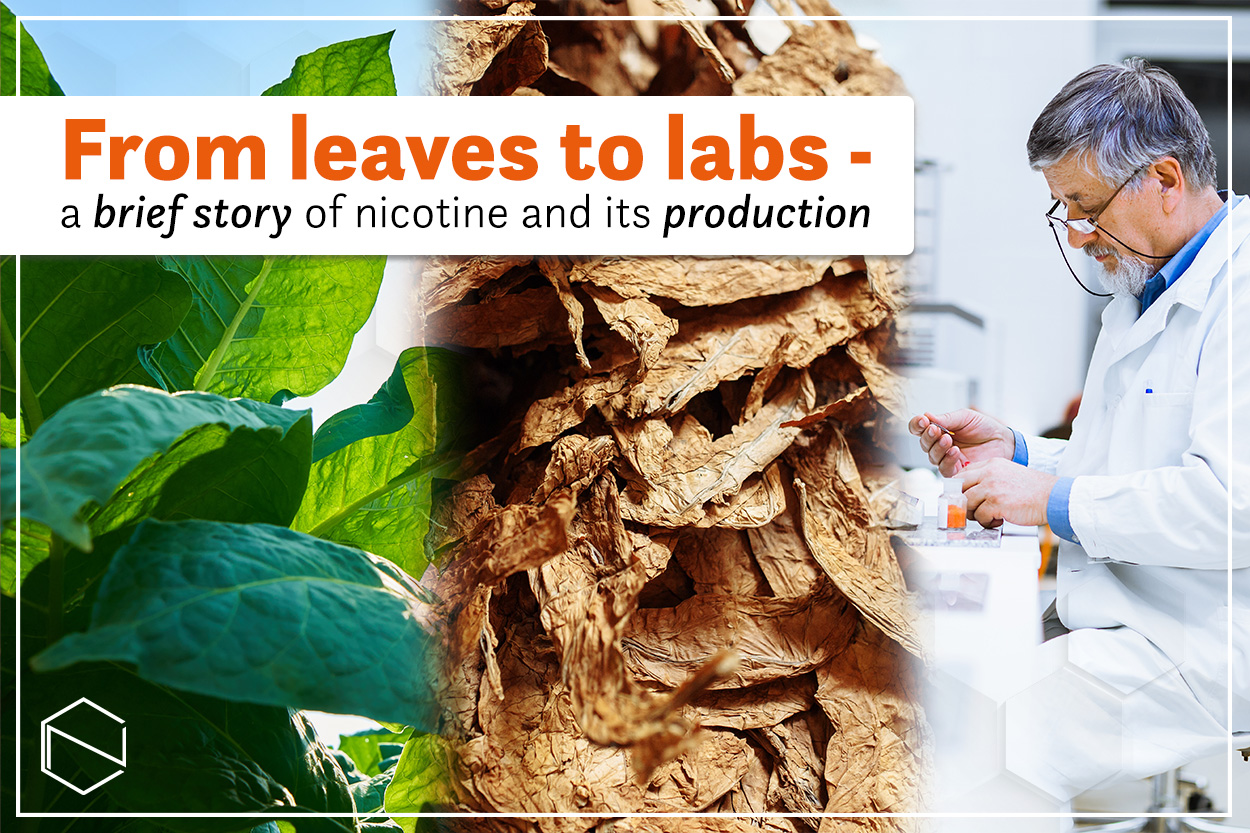 green tobacco leaves, dried tobacco leaves, a man in a uniform working in a lab, and a text: From leaves to labs - a brief story of nicotine and its production