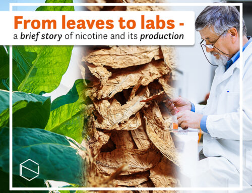 Das folhas aos laboratórios – uma breve história da nicotina e sua produção