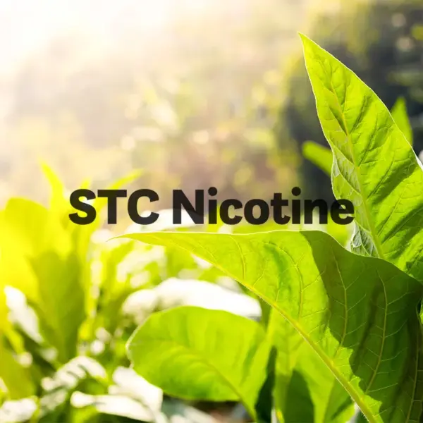 Nikotyna STC – logo