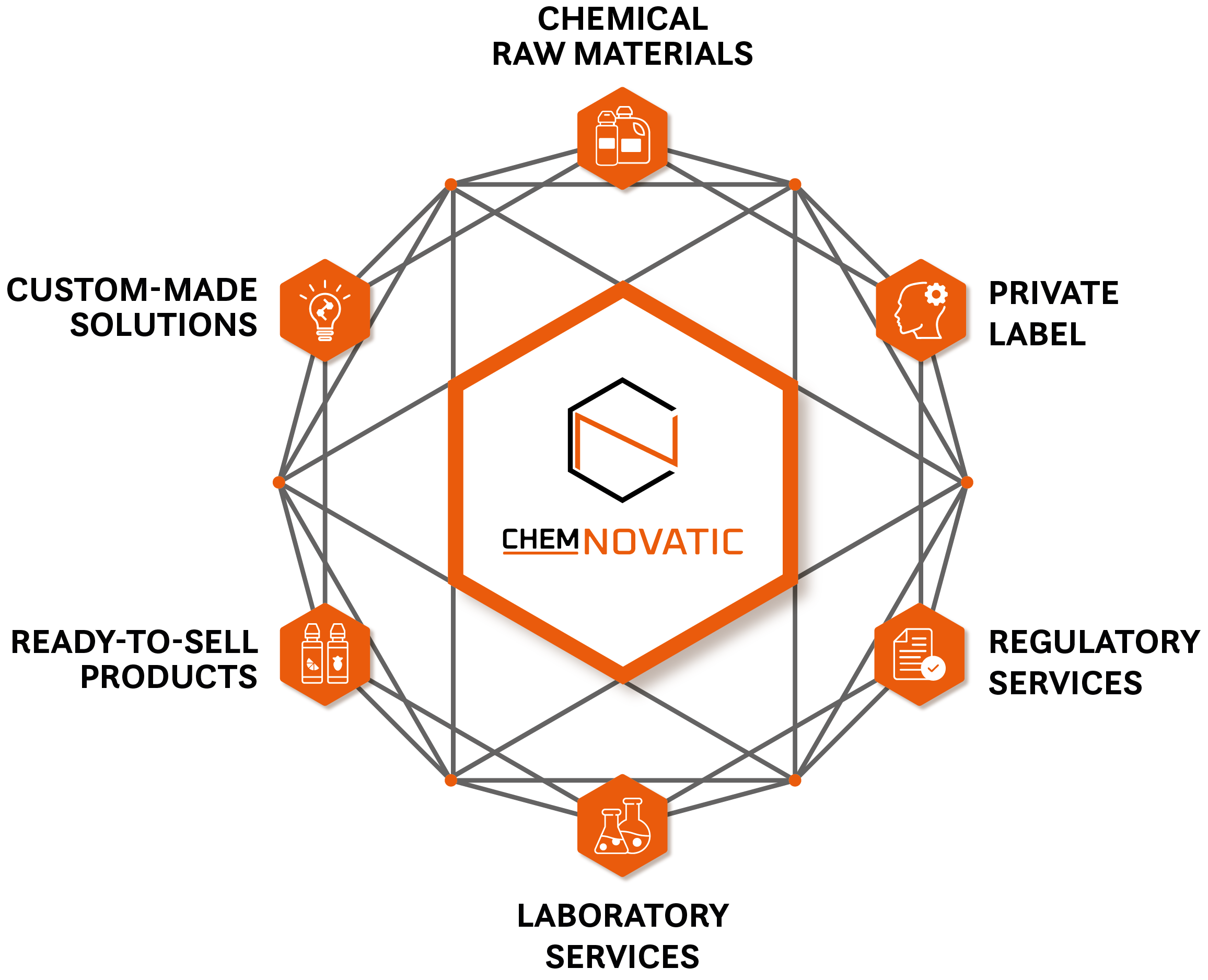 a diagram with chemnovatic logo in the middle and 6 points: chemical raw materials, private label, regulatory services, laboratory services, ready-to-sell products, custom-made solution
